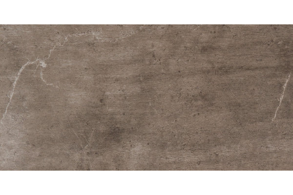 Daltile Rowe 12" x 24" Tile in Cosmo | Wayfair
